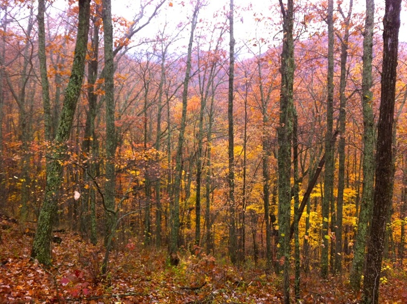 Sheltowee Trace_ Clear Creek Furnace - 03.jpg